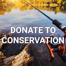 Donate To Conservation