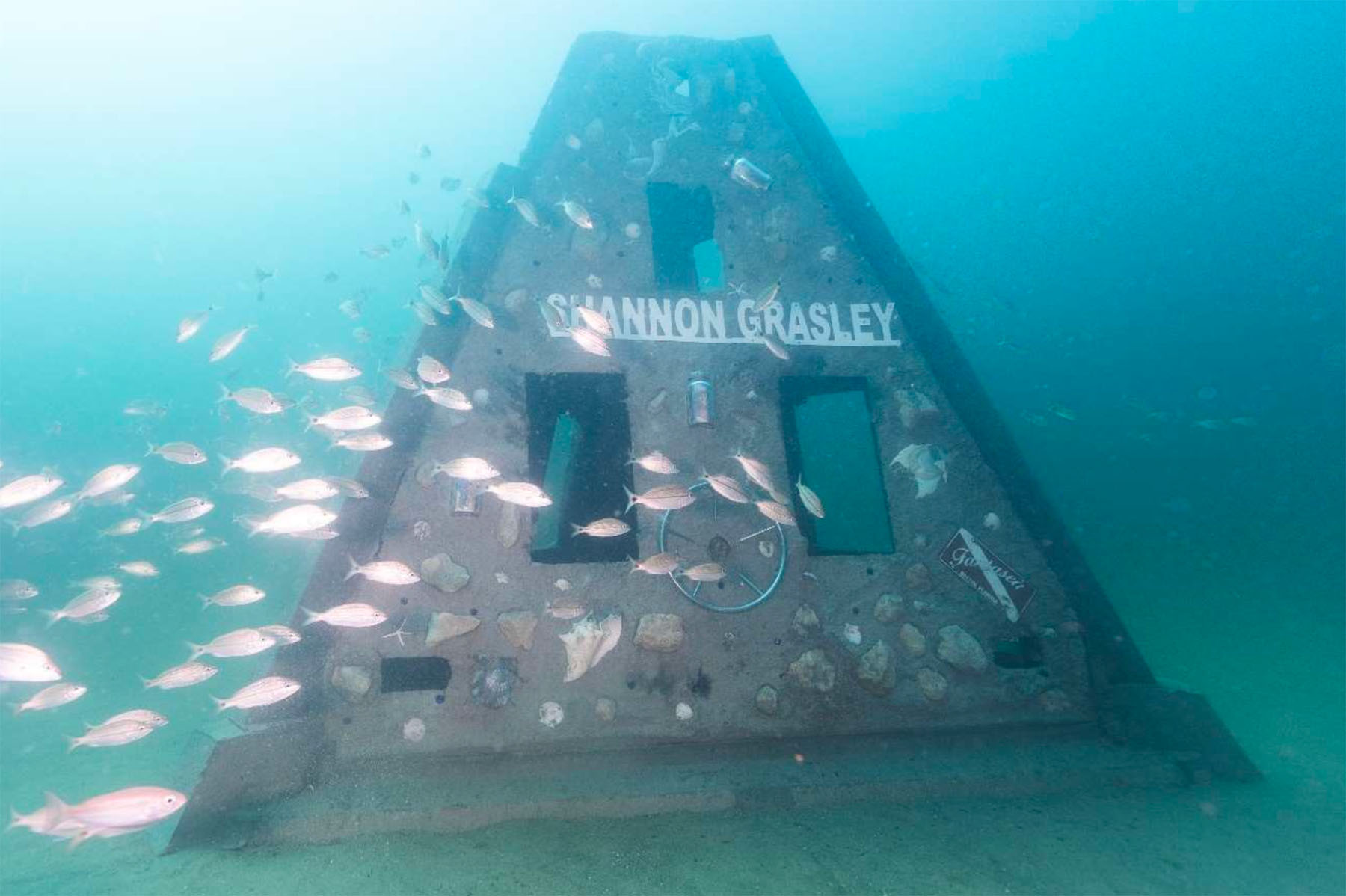 Underwater photo of reef deployed by Destin High School students and donors.